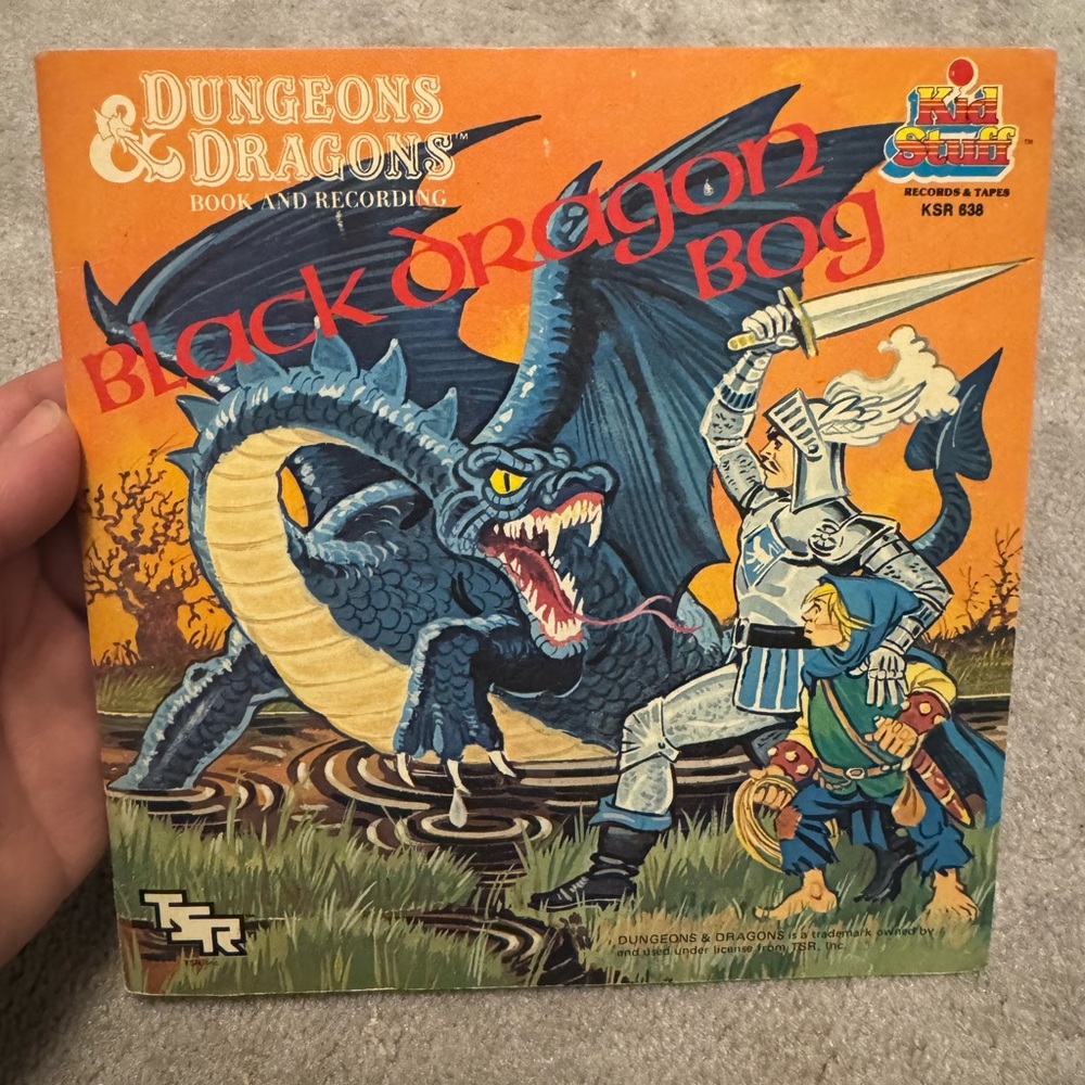 Dungeons and Dragons record book